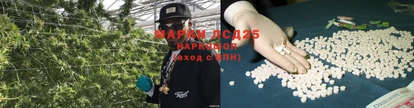 бошки Абаза