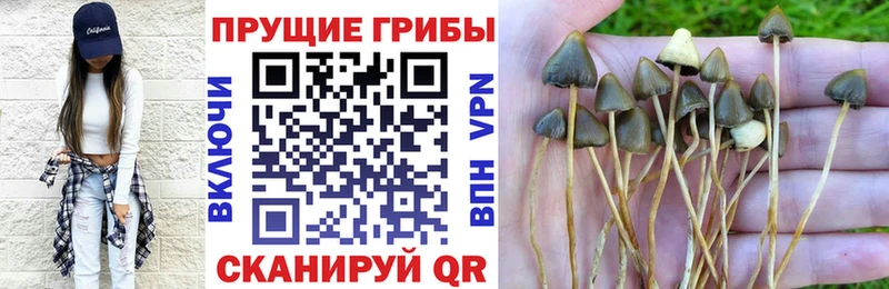 Псилоцибиновые грибы прущие грибы маркетплейс состав Сим купить